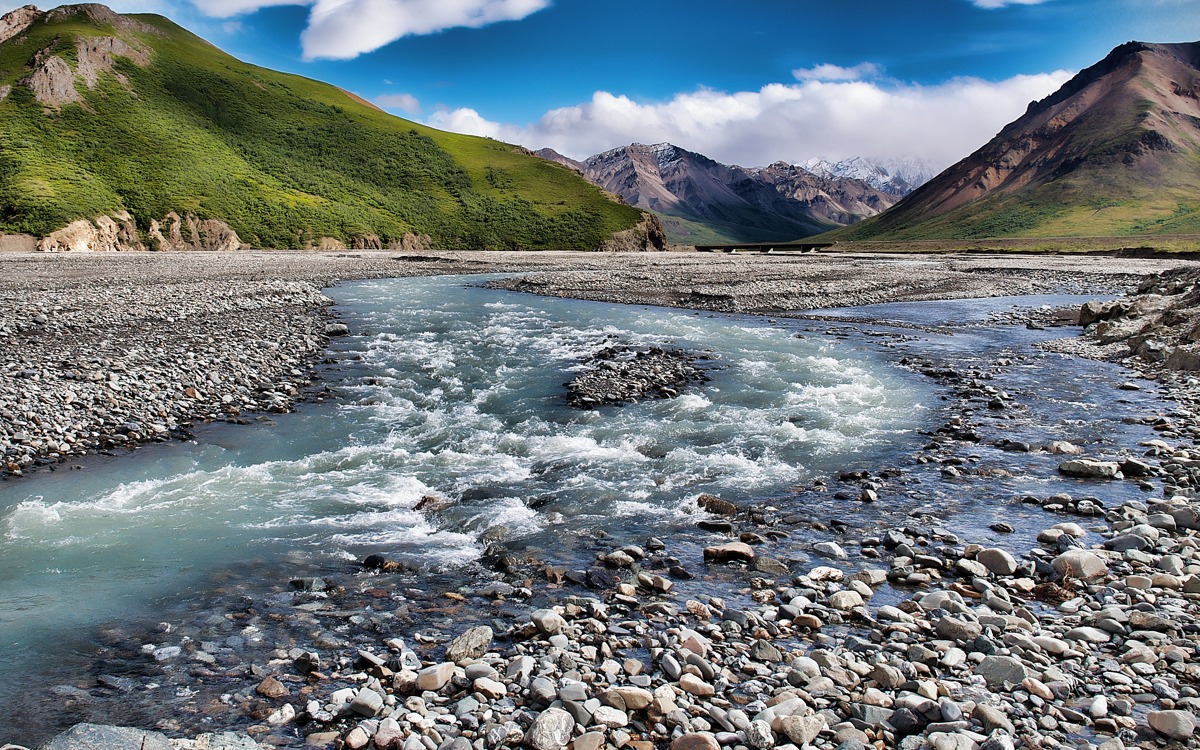 Denali National Park