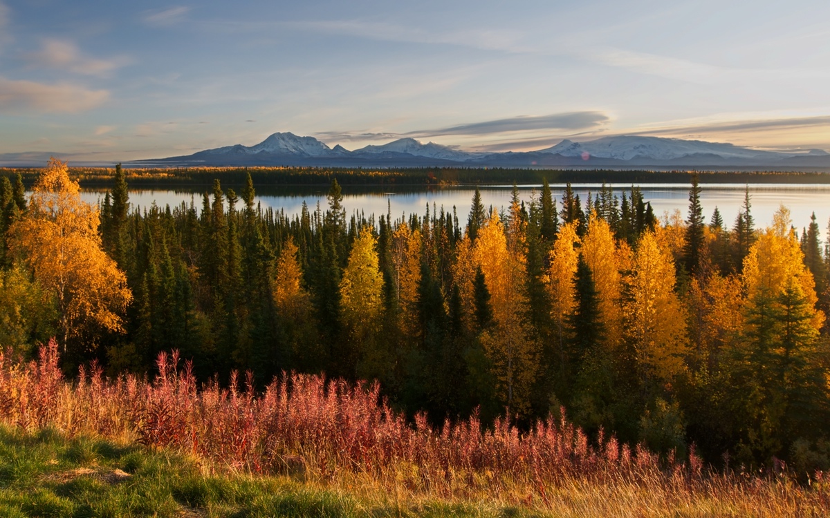 Mt. Drum Alaska