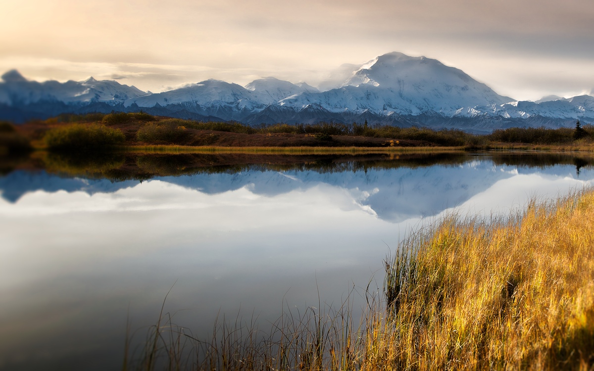 Reflection Pond Denali National Park